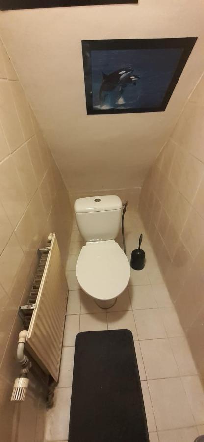 Iru, Not For Parties, Not A Hotel, Room With No Kitchen อัมสเตอร์ดัม ภายนอก รูปภาพ